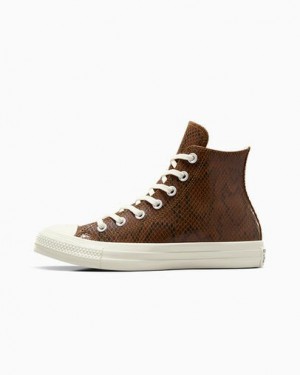 Brown Converse Chuck Taylor All Star Snakeskin Print Women Sneakers Singapore | C-15260399