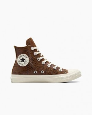 Brown Converse Chuck Taylor All Star Snakeskin Print Women Sneakers Singapore | C-56832109