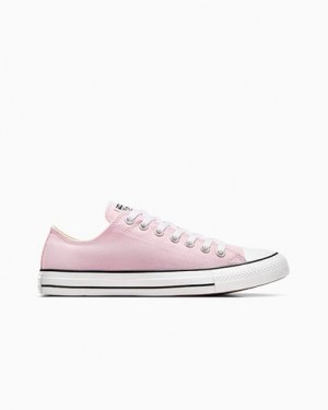 Pink Converse Chuck Taylor All Star Women Canvas Shoes Singapore | C-07684519