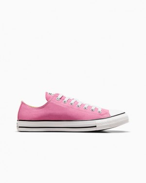 Pink Converse Chuck Taylor All Star Women Canvas Shoes Singapore | C-81534299