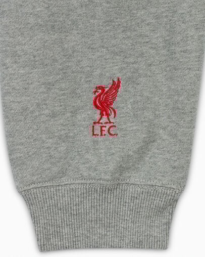 Grey Converse Converse x Liverpool FC Logo Women Hoodie Singapore | C-94710269