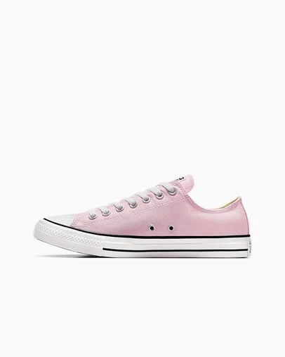 Pink Converse Chuck Taylor All Star Women Canvas Shoes Singapore | C-07684519