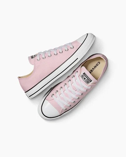 Pink Converse Chuck Taylor All Star Women Canvas Shoes Singapore | C-07684519
